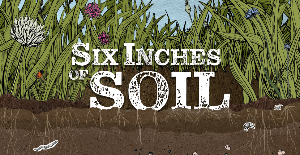 6 inches of soil